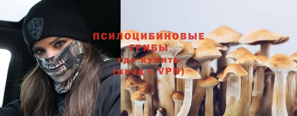 спайс Алексин