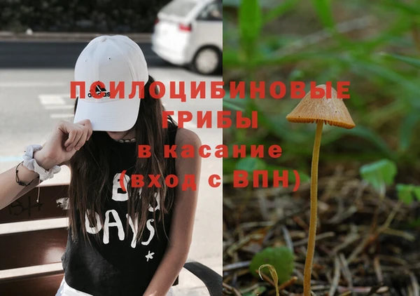 спайс Алексин