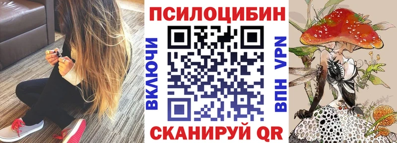 купить наркотики сайты  Алзамай  даркнет какой сайт  Псилоцибиновые грибы Psilocybine cubensis 